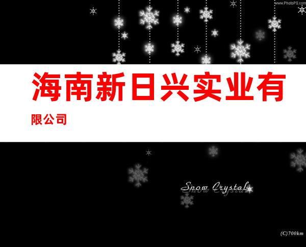 海南新日兴实业有限公司